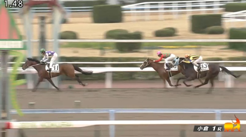�T�����C�Y�E�B�Y���@3�Ζ������@�D���@3/6�@���q